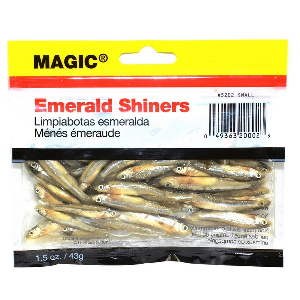 Magic Products 5253 Preserved Minnows Medium 4 Oz Fishing Prepared Bait for  sale online