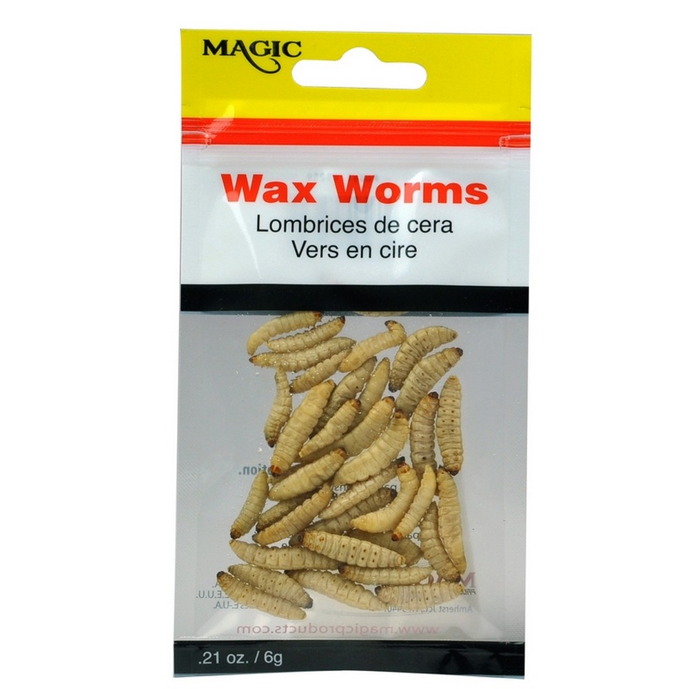 Magic Products Preserved Real Fishing Bait Wax Worms .21 oz