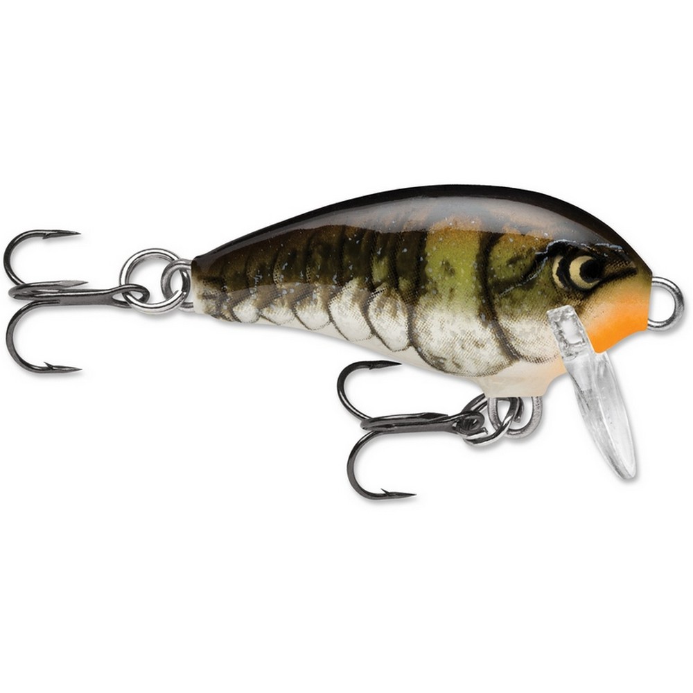  Rapala Mini Fat Rap 03 Fishing lure, 1.5-Inch, Brook Trout : Fishing  Bait Traps : Sports & Outdoors