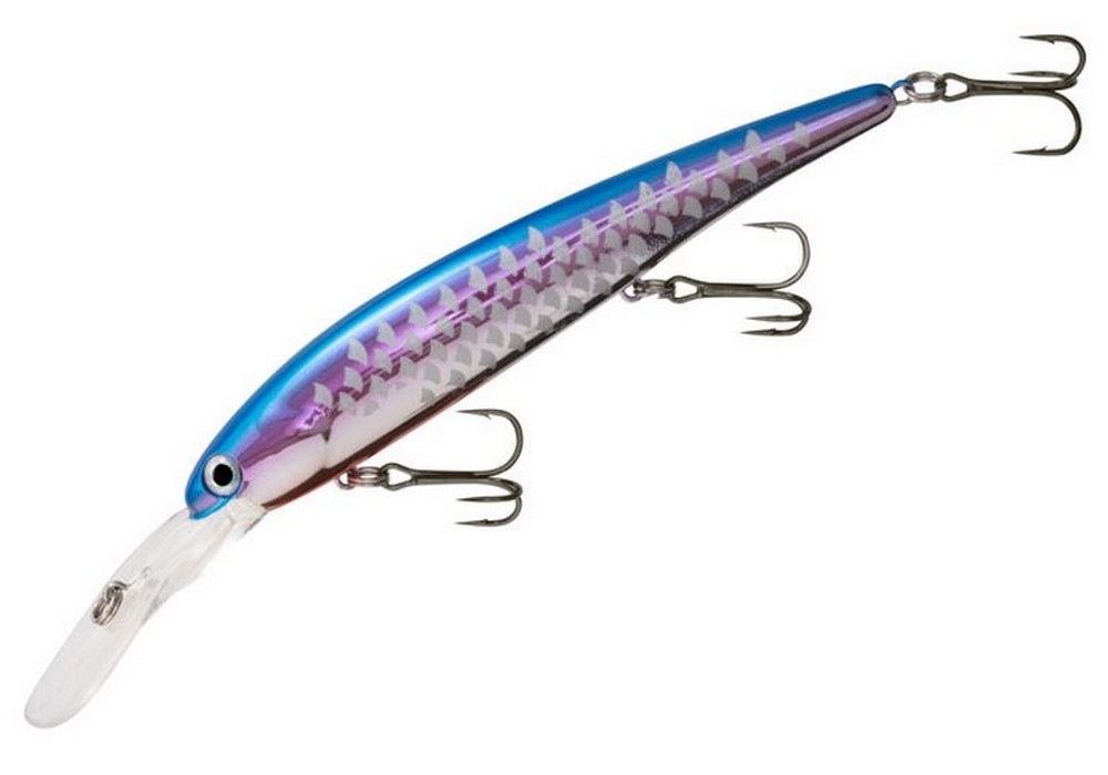 Rabid Baits Darter – PêcheXperts