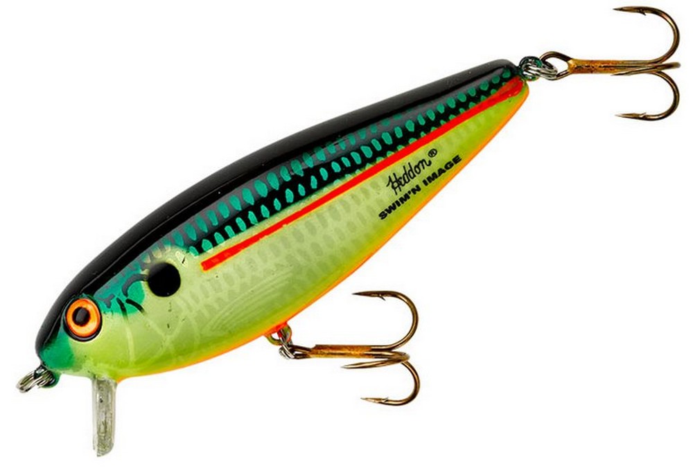 Excalibur Swimming Image Swim'n Shallow Runner X9230dts Bass