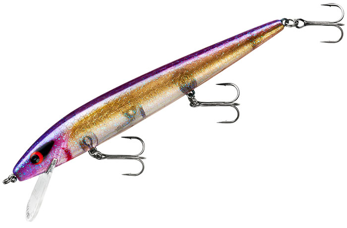 Smithwick Lures ADR5278 Perfect 10 Rogue Lure, AYU : : Sports &  Outdoors