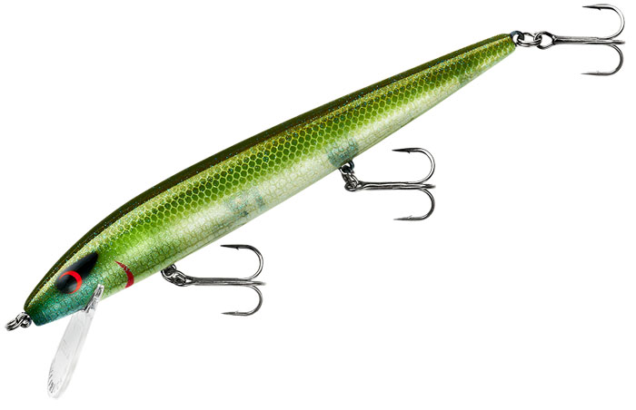 Buy Smithwick Lures Perfect 10 Rogue Fishing Lure Online at  desertcartParaguay