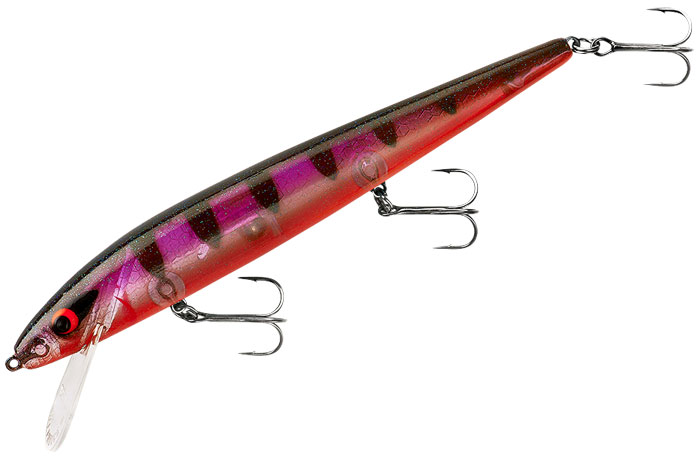 Smithwick Perfect 10 Rogue Jerkbait – Natural Sports - The Fishing Store