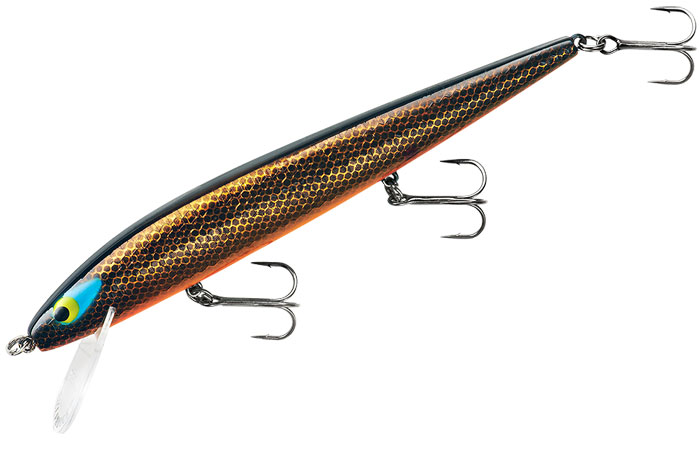 Smithwick Lures ADR532OB Perfect 10 Rogue Lure, Chrome/Blue Back/Orange  Belly : : Sports & Outdoors